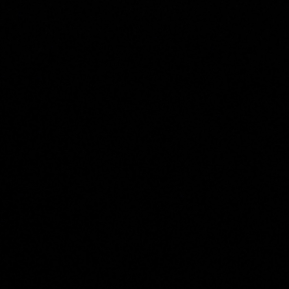 Classic Black Item